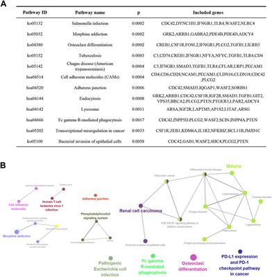 Bioinformatics analysis of the common targets of miR-223-3p, miR-122-5p, and miR-93-5p in polycystic ovarian syndrome